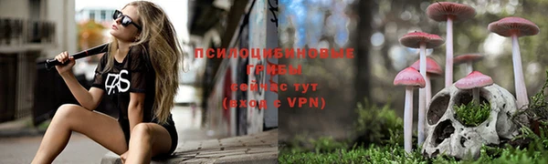 амф Вязьма