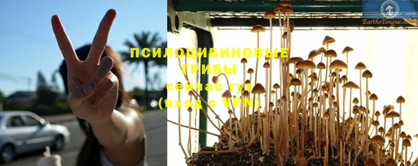 амф Вязьма