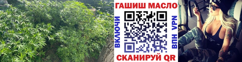 Дистиллят ТГК THC oil  Заречный 