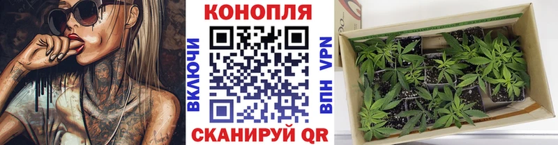 Бошки Шишки OG Kush  МЕГА ССЫЛКА  Заречный 