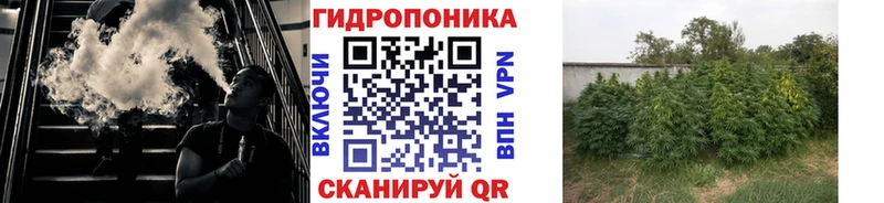 МАРИХУАНА ГИДРОПОН Заречный